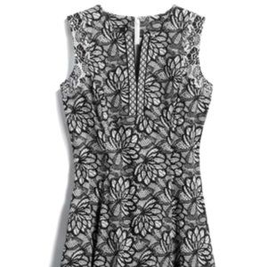 Adorne Cotton Dress Black & White